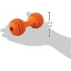 imageJW Pet Chompion Heavyweight Dog Chew Toy for Large Breeds Assorted ColorsSmall 5 x 175 x 475