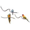 imageJW Pet Comfy Perch For Birds Flexible Multicolor Rope Small  14quot LengthMedium
