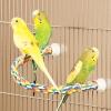 imageJW Pet Comfy Perch For Birds Flexible Multicolor Rope Small  14quot LengthMedium