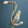 imageJW Pet Comfy Perch For Birds Flexible Multicolor Rope Small  14quot LengthSmall