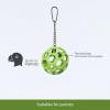 imageJW Pet Company Activitoys Holee Roller Parrot Toy 4 Inch Diameter Colors Vary 