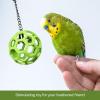imageJW Pet Company Activitoys Holee Roller Parrot Toy 4 Inch Diameter Colors Vary 