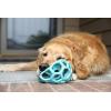 imageJW Pet Holee Roller Dog Toy Puzzle Ball Natural Rubber Medium 45 Inch Diameter Colors May VaryBlue