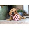 imageJW Pet Holee Roller Dog Toy Puzzle Ball Natural Rubber Medium 45 Inch Diameter Colors May VaryPink