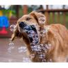 imagePet Qwerks Incredibubbles Interactive Pet Toys  Long Lasting Edible Bubbles for Dogs ampamp Cats  Peanut Butter Flavor  20 ML All Breed SizesPeach