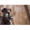 imagePet Qwerks XTire Ball Dog Toys  Jingle Interactive Chew Toy  SmallRope