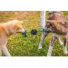 imagePet Qwerks XTire Ball Dog Toys  Jingle Interactive Chew Toy  SmallRope