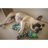 imagePetmate Fat Cat Incredible Strapping Yankers Dog Toy Snake Colors May Vary