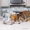 imagePetmate Pet Cafe Cat and Dog Water Dispenser  Water Bowl for Cats and Dogs USA Made 25 GAL Pearl Ash BluePearl Ash Blue