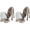 imagePetmate Pet Cafe Cat and Dog Water Dispenser  Water Bowl for Cats and Dogs USA Made 25 GAL Pearl Ash BluePearl Tan