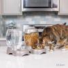 imagePetmate Pet Cafe Feeder Dog and Cat Feeder Pearlescent Colors 3 Sizes Made in USAPearl Silver