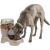imagePetmate Pet Cafe Feeder Dog and Cat Feeder Pearlescent Colors 3 Sizes Made in USAPearl Tan