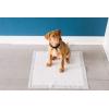 imagePetmate Precision Pet Little Stinker Housebreaking Pads 14 Per Pack14Pack