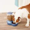 imagePetmate Replendish Feeder Automatic Cat and Dog Feeder Pearl Peacock Blue 10 LB Made in USAGreen
