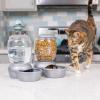 imagePetmate Replendish Feeder Automatic Cat and Dog Feeder Pearl Peacock Blue 10 LB Made in USAPearl Peacock Blue