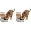 imagePetmate Replendish Feeder Automatic Cat and Dog Feeder Pearl Peacock Blue 10 LB Made in USAPearl Silver Grey