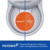 imagePetmate Replendish Feeder Automatic Cat and Dog Feeder Pearl Peacock Blue 10 LB Made in USAPearl Silver Grey