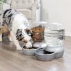 imagePetmate Replendish Feeder Automatic Cat and Dog Feeder Pearl Peacock Blue 10 LB Made in USAPearl Silver Grey