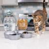 imagePetmate Replendish Feeder Automatic Cat and Dog Feeder Pearl Peacock Blue 10 LB Made in USAPearl Silver Grey