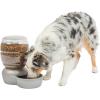 imagePetmate Replendish Feeder Automatic Cat and Dog Feeder Pearl Peacock Blue 10 LB Made in USAPearl Silver Grey