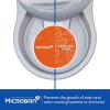 imagePetmate Replendish Feeder Automatic Cat and Dog Feeder Pearl Peacock Blue 10 LB Made in USAPearl Silver Grey