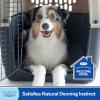 imagePetmate Sky Kennel  For Air and Travel Airline Approved Dog Crate for Pets up 1530 lbs Heavy Duty Dog Kennel Made in the USA 28 Inches28 inch Pack of 1