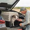 imagePetmate Vari Dog Kennel  Portable Dog Carriers ampamp Crates for Small Dogs AirlineFriendly Durable Plastic Pet Carrier For Home and Travel 24 Inches Taupe and Black320L x 225W x 240H