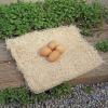 imagePrecision Pet Chicken Nesting Pads by Petmate  13 x 13 Premium Chicken Bedding Fit Most Nesting Boxes  10 PackBeige Made in USA