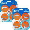 Medium  8-Pack