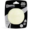 imageChuckit Glow in the Dark Bouncy Balls  Ball for Dogs Chuckit Dog Toy Max Glow Balls  Medium 25 Inch Pack of 2ExtraLarge