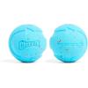 imageChuckit Rebounce Ball Dog Toy  Bouncy Fetch Balls for Dogs 2060 lbs  Made from Durable Rubber  Outdoor Pet Toys  Size Medium  25inch Diameter  Pack of 2  Blue