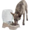 imagePetmate Pet Cafe Cat and Dog Water Dispenser  Water Bowl for Cats and Dogs USA Made 25 GAL Pearl Ash BluePearl Tan