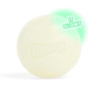imageChuckit Glow in the Dark Bouncy Balls  Ball for Dogs Chuckit Dog Toy Max Glow Balls  Medium 25 Inch Pack of 2Large