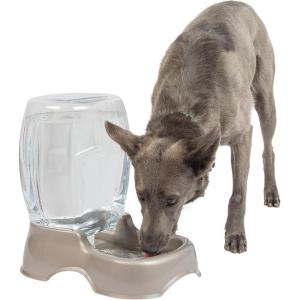 imagePetmate Pet Cafe Cat and Dog Water Dispenser  Water Bowl for Cats and Dogs USA Made 25 GAL Pearl Ash BluePearl Tan
