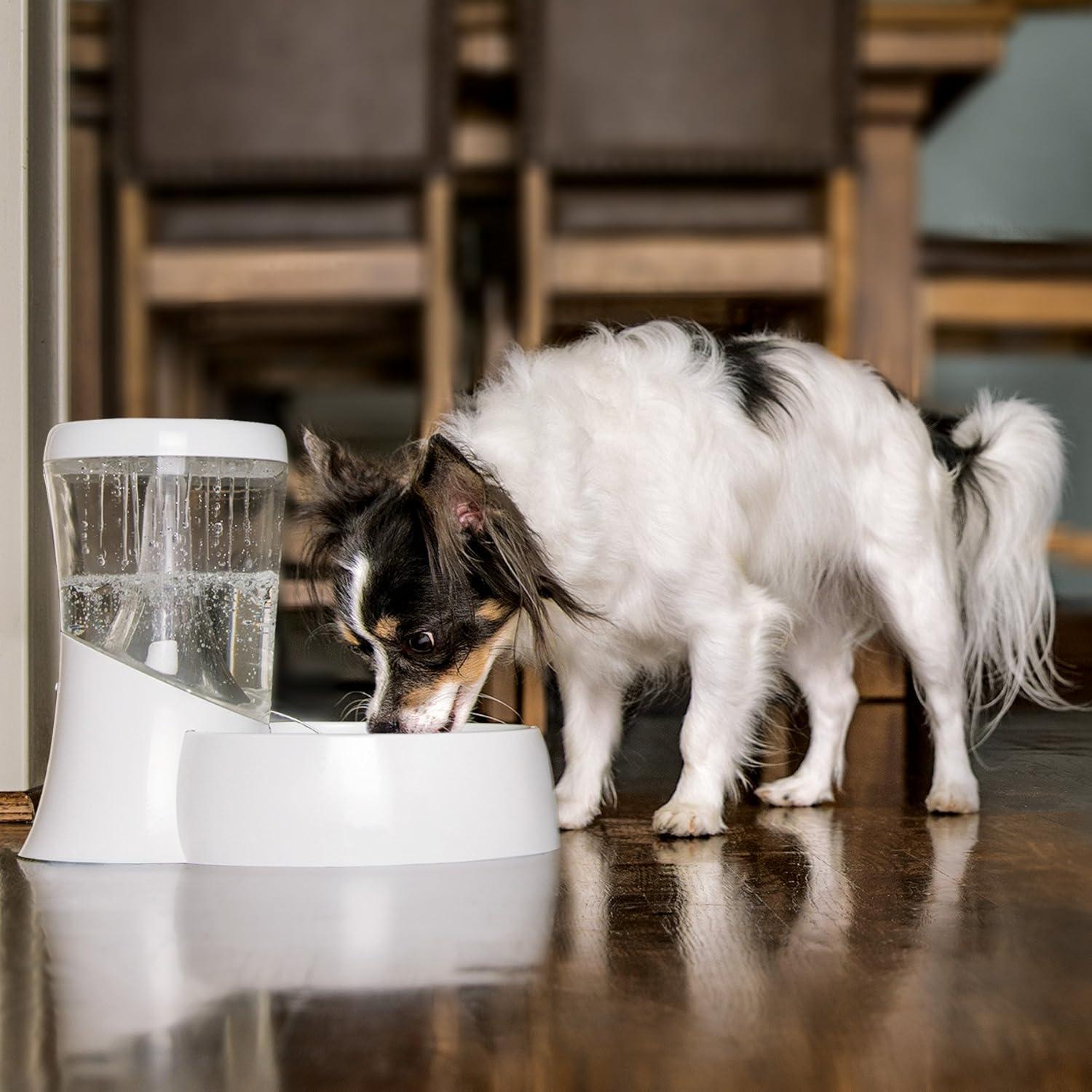 imagePetmate Fresh Flow Rain Battery Fountain for Cats and Dogs 75 oz