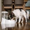 imagePetmate Fresh Flow Rain Battery Fountain for Cats and Dogs 75 oz