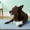 imageBooda FreshNFloss 3 Knot Tug Rope Dog Toy Large Spearmint