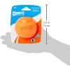 imageChuckIt HighBounce Rubber Fetch Ball Small Colors Vary 2 PackMulti
