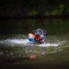 imageChuckit Amphibious Tumble Bumper Dog Toy Floats on waterLargeMedium