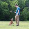 imageChuckit Ring Chaser Dog Ball Launcher Dog Toy Set 22 Inch Length with 45 Inch Dog Ball Ring
