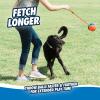 imageChuckit Rope Fetch Dog Toy  Ball on Rope Fetch and TugofWar Toy for Dogs  Durable EVA Rubber Construction  55inch Diameter  18inch Rope  Orange and Blue