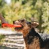 imageChuckit Rugged Flyer Dog Toy Medium Assorted Colors
