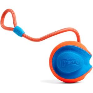 imageChuckit Rope Fetch Dog Toy  Ball on Rope Fetch and TugofWar Toy for Dogs  Durable EVA Rubber Construction  55inch Diameter  18inch Rope  Orange and Blue