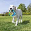 imageChuckit Limited Edition EcoFetch Ball Dog Toy Medium 25 Inch Diameter Pack of 3 for Breeds 2060 lbsEcoFetch Flyer