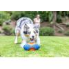 imageChuckit Limited Edition EcoFetch Ball Dog Toy Medium 25 Inch Diameter Pack of 3 for Breeds 2060 lbsGiggle Fumble
