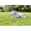 imageChuckit Limited Edition EcoFetch Ball Dog Toy Medium 25 Inch Diameter Pack of 3 for Breeds 2060 lbsSuper Crunch Stick