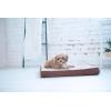 imageLaZBoy Petmate Bentley Orthopedic Foam Large Dog Bed Midnight Blue 36 x 28 x 3 inches for Dogs up to 50lbs with Supportive Foam Durable Removable Washable Cover250L x 200W x 26Th