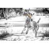 imagePet Qwerks Dinosaur BarkBone  Nylon Dog Bone for Tough Chewers Real Bacon FlavorDino