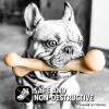imagePet Qwerks Dinosaur BarkBone  Nylon Dog Bone for Tough Chewers Real Bacon FlavorDino