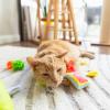 imageItaly Bulk Cat Toys Catnip and Interactive Toys 14pcsItaly